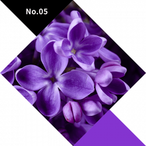 No.05　PURPLE（紫）