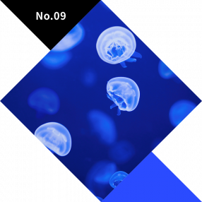 No.09　BLUE（青）